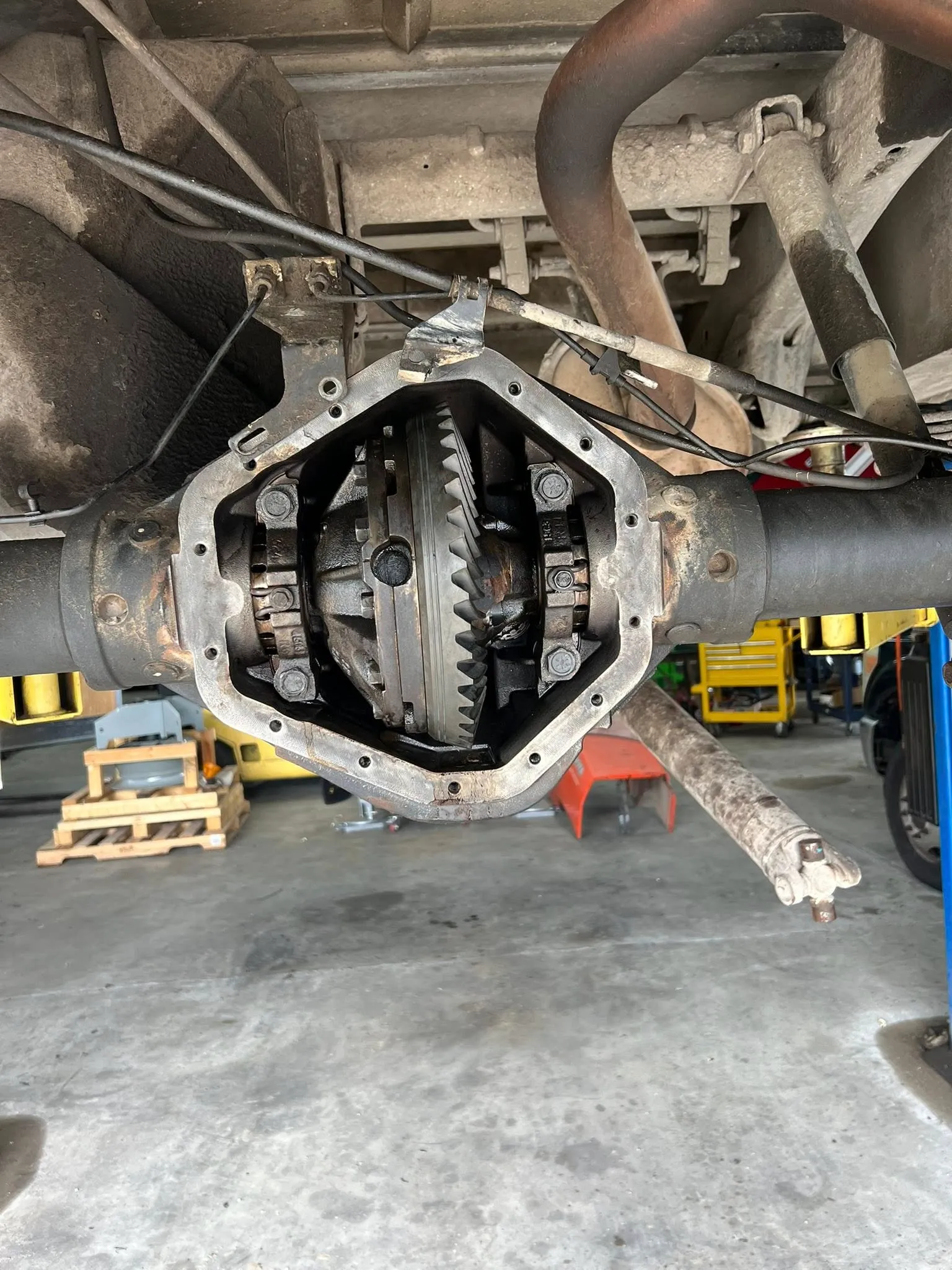 Rear differential teardown — ring gear and spider gears exposed